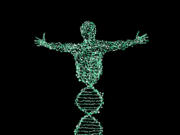 The Science of Superhuman Ageing